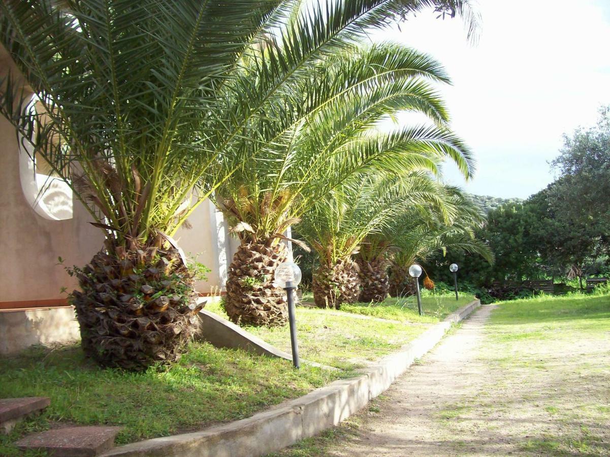 Del Palmeto
